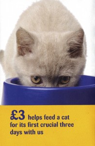 Cats £3